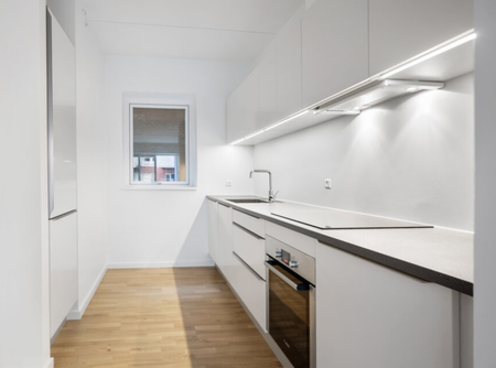 Jyllandsgade 10, 1. lejl. 3, 9000 Aalborg - Foto 4