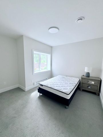 Brand New walkout in Black Mountain - Photo 5