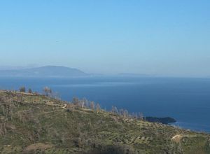 Διαμέρισμα για ενοικίαση - Νηλέα, - Photo 4