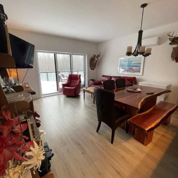 APPARTEMENT 3½ À BLAINVILLE POUR JUILLET - 875 PI. CARRÉ - Photo 1