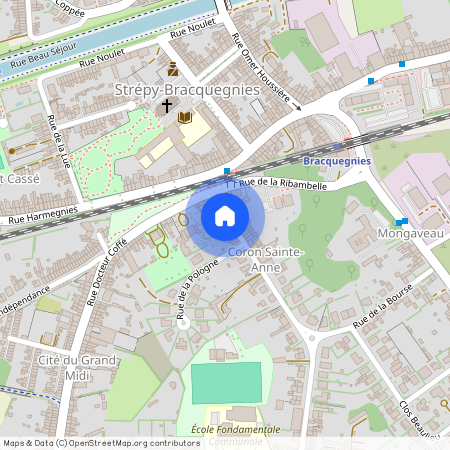 Rue de la Bourse, 14, 1, 7110, La Louvière Strépy-Bracquegnies