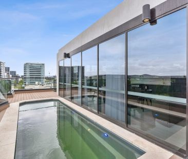 231/81 Cooyong Street, City ACT 2601 - Apartment For Rent | Domain - Photo 6