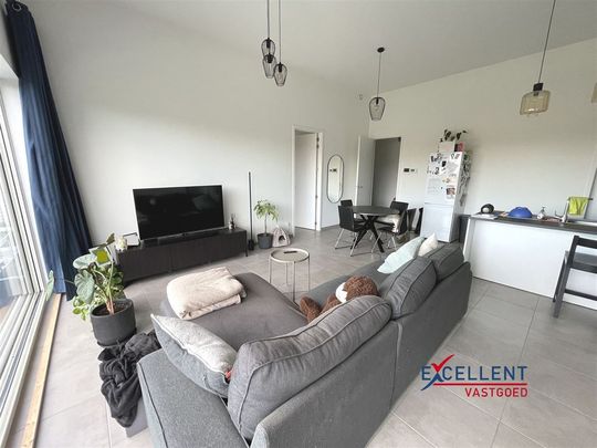 Appartement te huur in Deinze - Foto 1