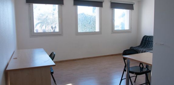 Location Appartement 1 pièce Meublé 24m² MONTPELLIER 34090 - Photo 2