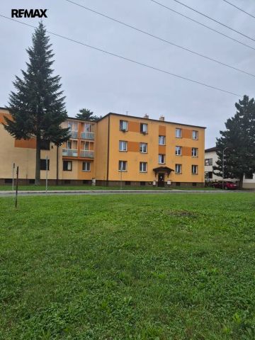 Podnájem bytu 2+1 s možností využití společné zahrady - Photo 5