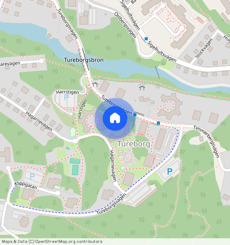 Tureborg, Uddevalla, Västra Götaland, Hagarnevägen 41 A