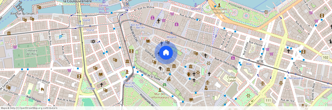 Rue Jean-Calvin 6, 1204 GENEVE