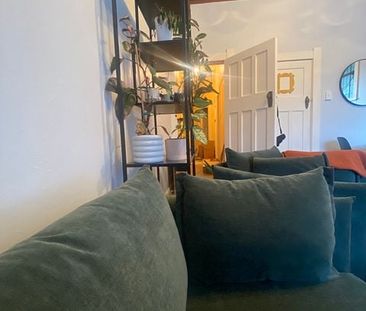 1 bedroom flat, Crieff St, Northland, Wellington - Photo 3