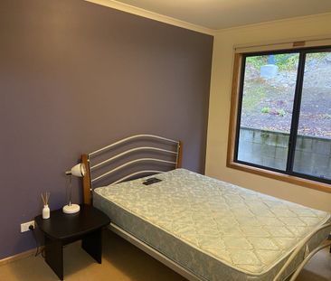 HOBART, 3 bedroom, 2 bathroom + study - Photo 4
