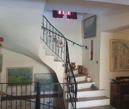 Μονοκατοικία για ενοικίαση - Φυλή - Photo 4