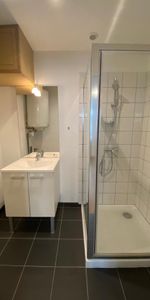 Location Appartement 1 pièce 25m² NANCY 54000 - Photo 4