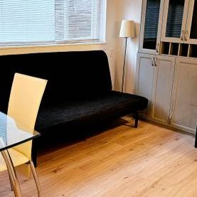 Private|Furnished BASEMENT Micro Studio - Available NOW until April 1 - Photo 2