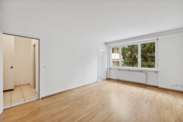 Ruhige Lage und dennoch zentral - Foto 1