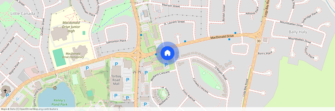 137 Ennis Ave, St. John'S