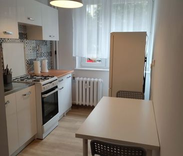 Na wynajem mieszkanie 2pok.42m2 z balkonem (440065) - Photo 1