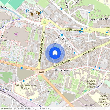 71 RUE DES FRERES LARCENEUX 39000 LONS LE SAUNIER, LONS LE SAUNIER