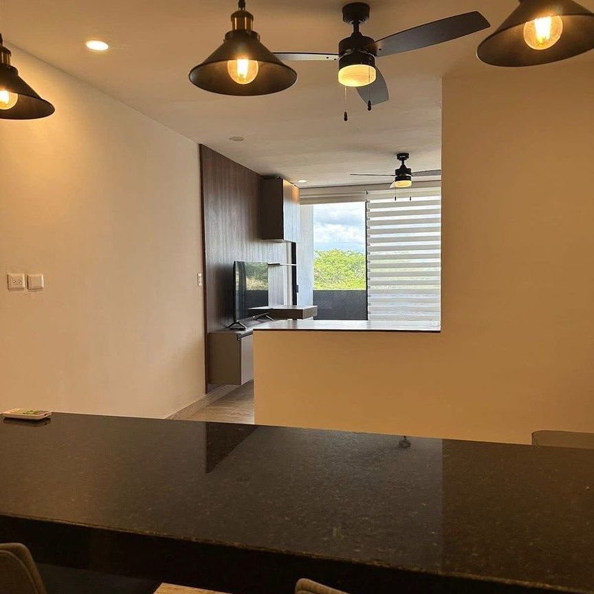 Renta de departamento tipo estudio - Foto 1