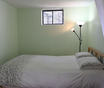 For Lease - 8 Kitching Drive Unit# Lower, East Gwillimbury, Ontario - Photo 6