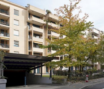 Rue de la Gabelle 5 - Photo 3
