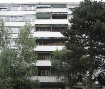 For rent renovated studio - Foto 1