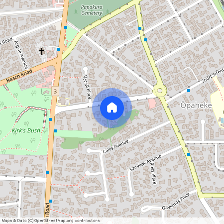 19A Butterworth Avenue, Opaheke, Papakura