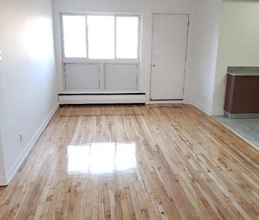1 CH - 1 SDB - Montréal - $1,300 /mo - Photo 1
