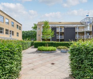 Pæregrenen 19, 5220 Odense SØ - Photo 5