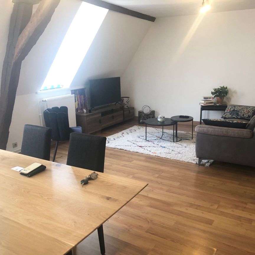 T3 ENTIEREMENT MEUBLE AVEC GARAGE - Photo 1
