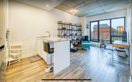 Condo for rent, Montréal (Saint-Laurent) - Photo 5