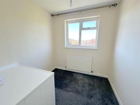 House - Photo 3