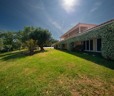 Detached villa with heated pool in Leiria - Photo 1