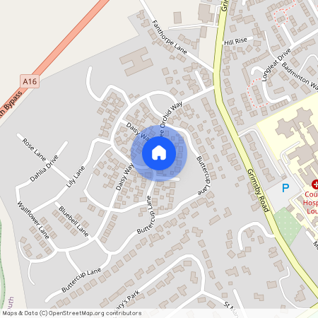 Bee Orchid Way, Louth, LN11 0FP