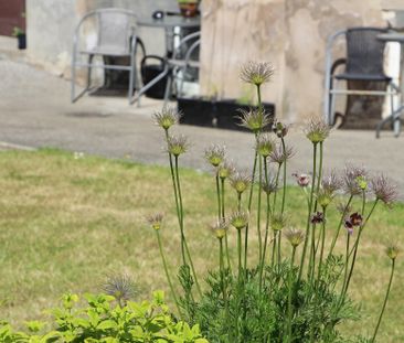 Bollhusgatan 10 A - Foto 5