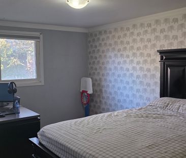 For Lease - 99 Millard Street Unit# (Main), Whitchurch-Stouffville,... - Photo 5