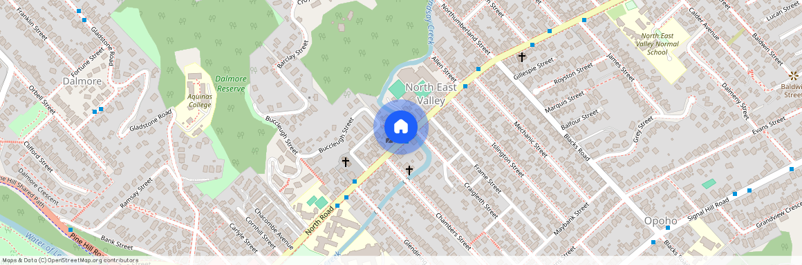 117 North Road, North East Valley, Dunedin