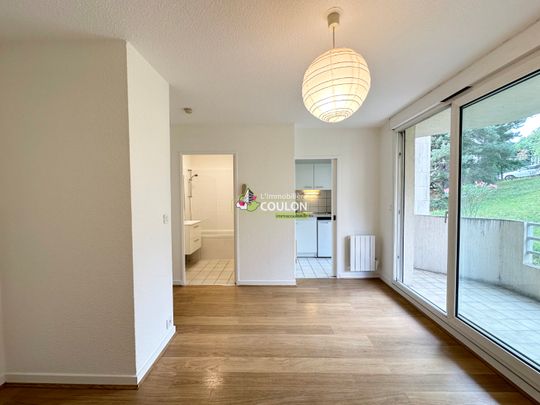 Location Appartement 1 pièce 21m² - Photo 1