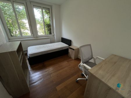 1 Chambre meublée à louer dans un 3 pièces en colocation - Boulevard de Nancy à Strasbourg - Photo 3