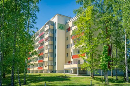 Barrierearme 1-Raum-Wohnung mit Balkon - Foto 2