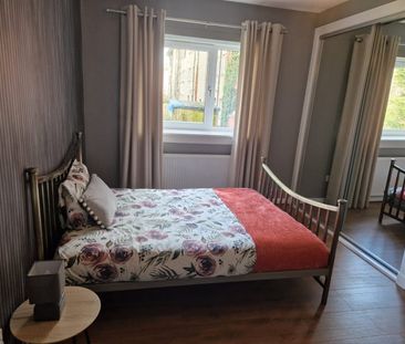 Room in a Shared Flat, West Pilton Grove, EH4 - Photo 4