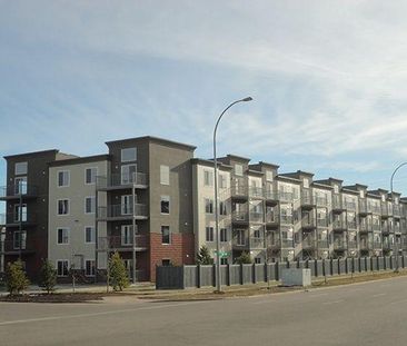 Hollick Kenyon Apartments - Photo 3