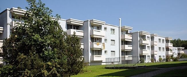 Quiet life in the countryside. Rent without deposit - Photo 1