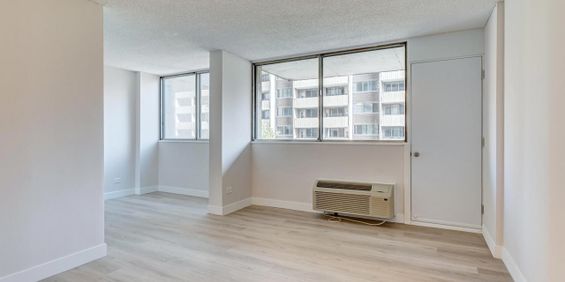 2 BR - 2000 Saint-Marc Street, Montréal - Photo 3