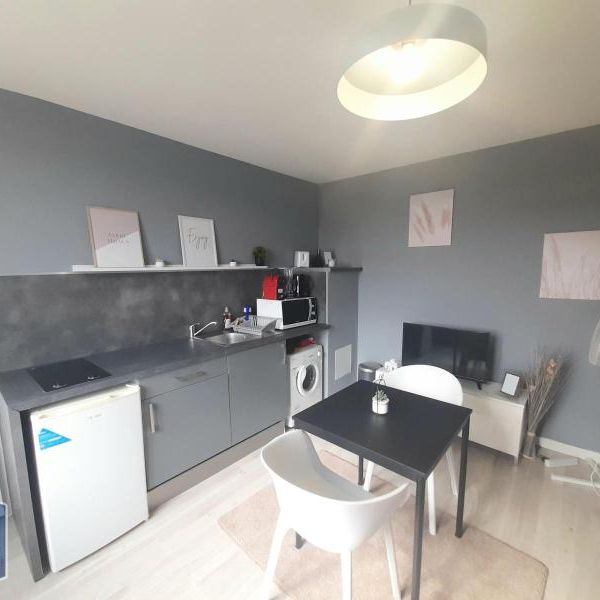 Location Appartement 1 pièce 21m² NAZELLES NEGRON 37530 - Photo 1