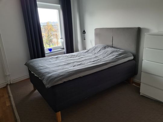 Lantmannagatan, Göteborg - Foto 1