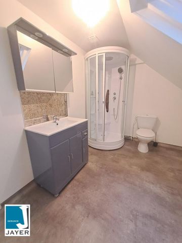 2 PIECES EN DUPLEX RÉNOVÉ SAINT-MARCEL - Photo 5