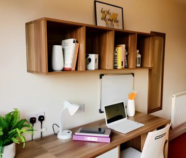 Classic En-Suite Lower Ground Floor, Behn Hall - Photo 5