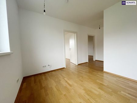 EINMALIGE 2-3 Zimmer Wohnung! Auch als WG geeignet! Großzügiger WESTBALKON! Ab sofort verfügbar! Haustiere erlaubt! - Photo 5