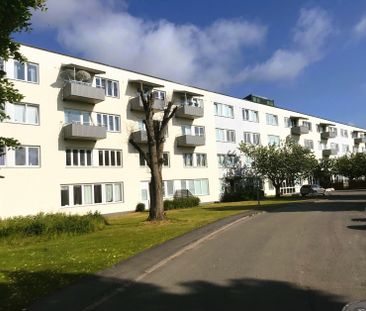 Danska Vägen, Falköping - Foto 1