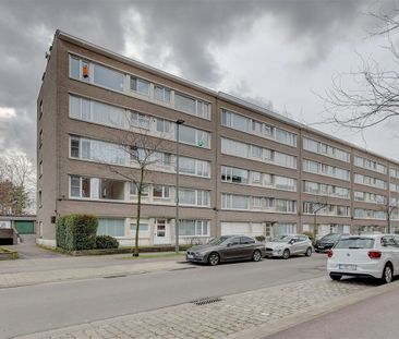 Appartement te huur in Wilrijk - Foto 2