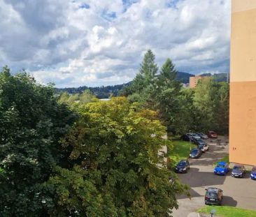 Podnájem pěkný byt 3+1 (61 m - Fotografie 5